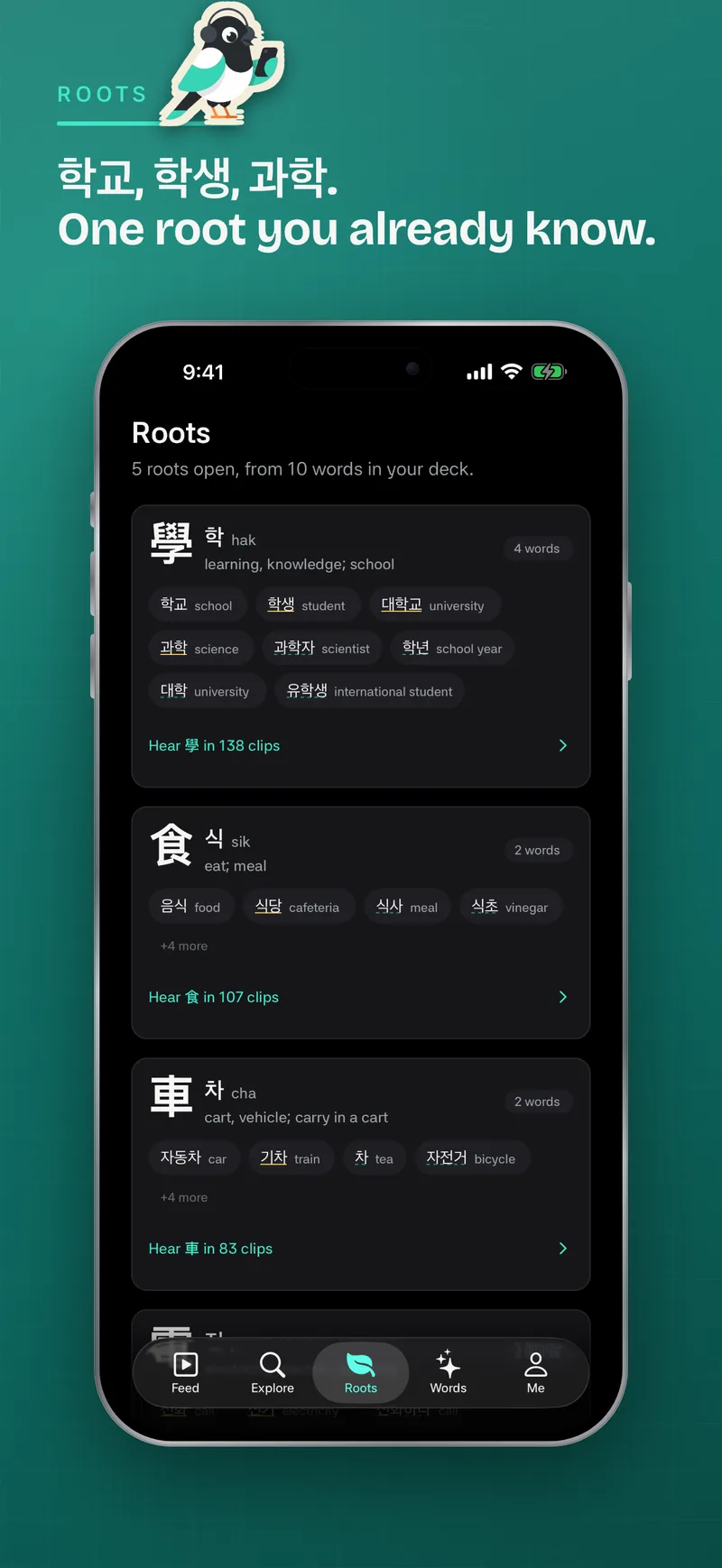 The Roots screen grouping saved words by the hanja root they share, with example words and how many clips use each one